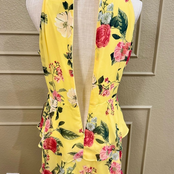 JESSICA HOWARD Women’s Dress Style Maxi Sleeveless Chiffon. Size 10P petite - Picture 6 of 9